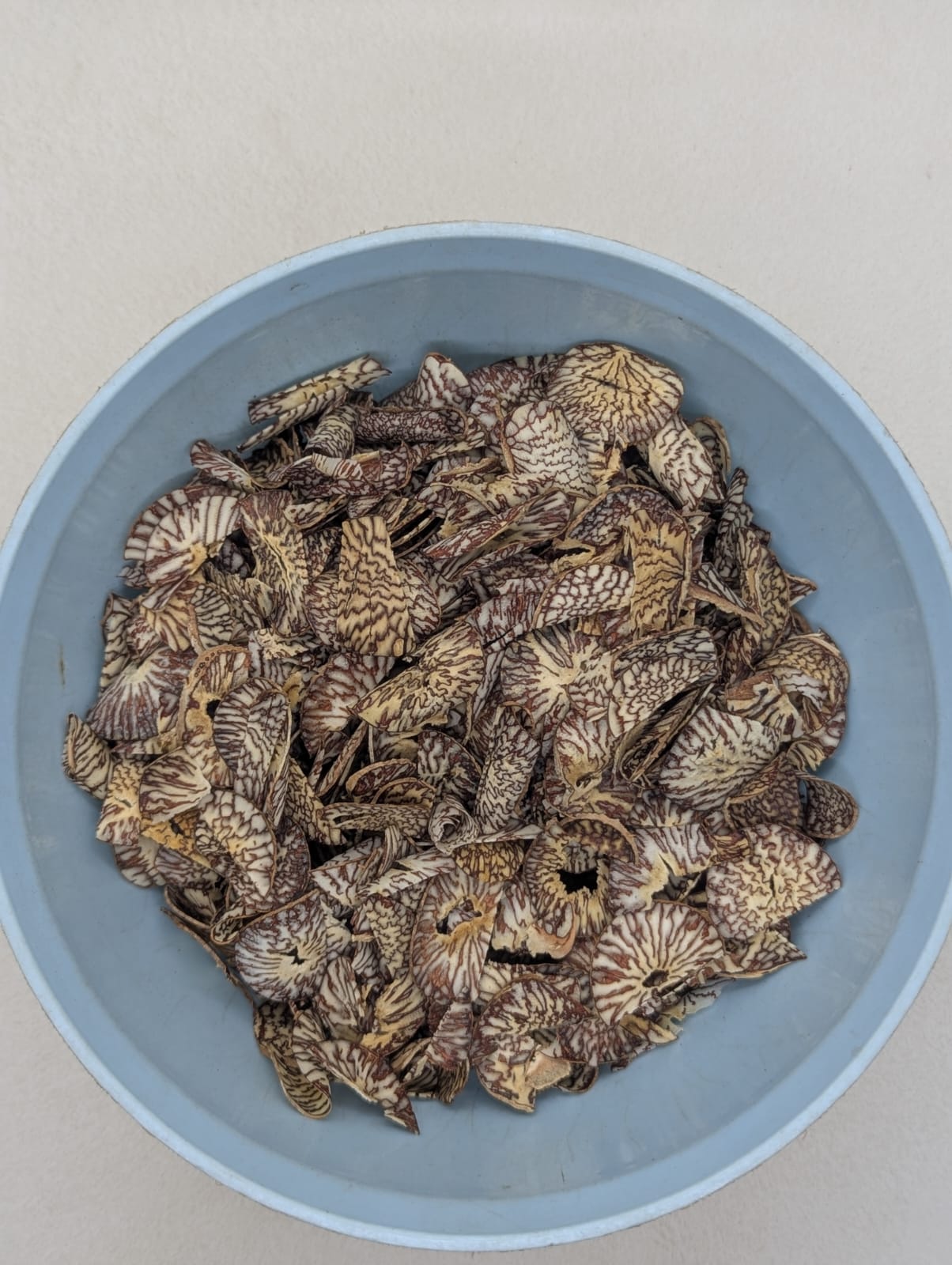 JC SUPARI- NYLON PATTI  250 GM