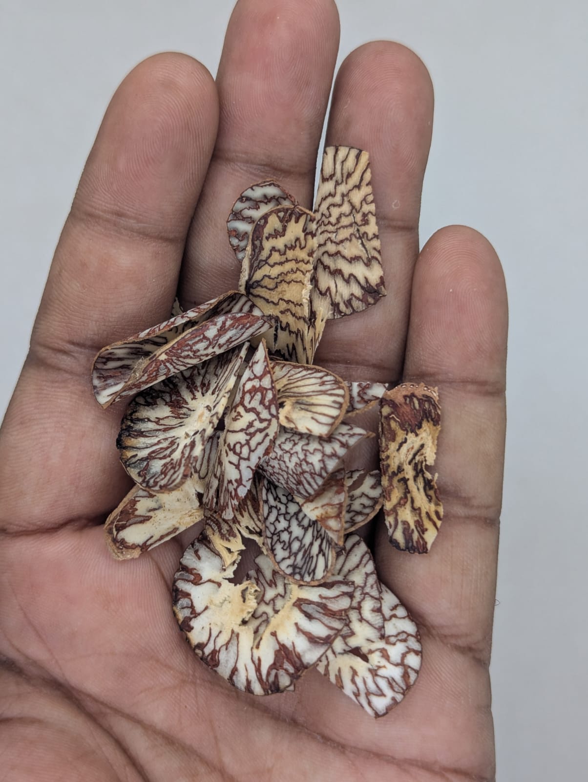 JC SUPARI- NYLON PATTI  250 GM