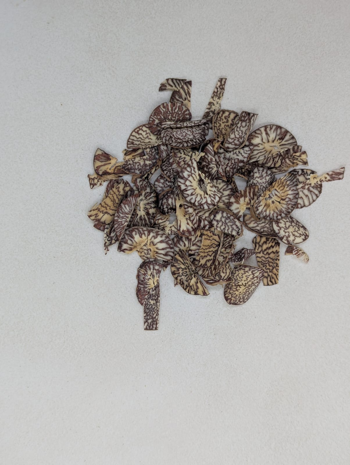 JC SUPARI- NYLON PATTI  950 GM